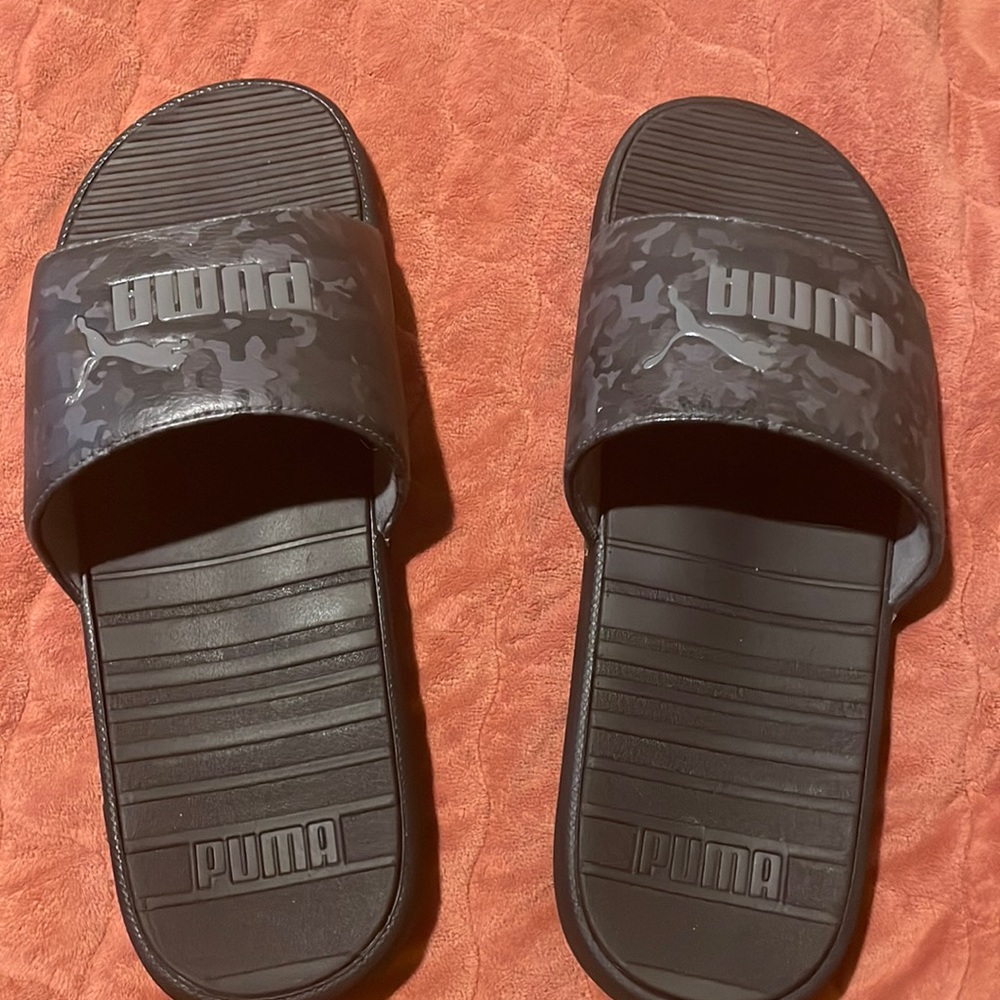 PUMA Slides